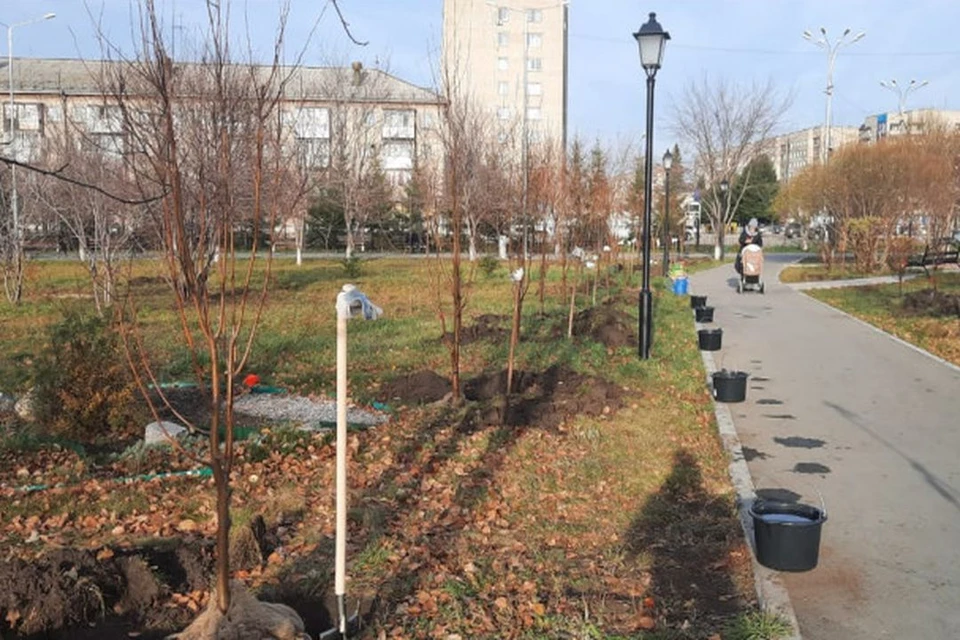 Более 100 зеленых зон создали в Новосибирской области в 2021 году. Фото: Правительство Новосибирской области