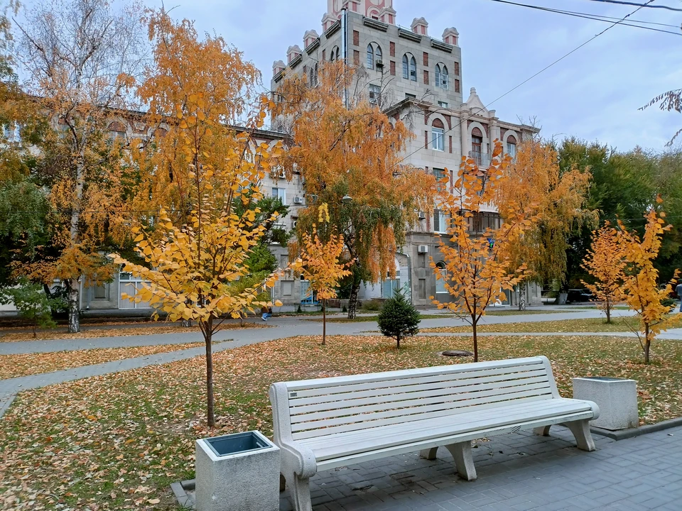 В парке заменят скамейки, урны, брусчатку и светильники.