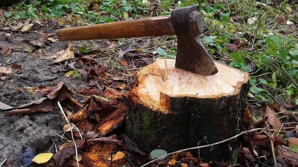 Во время сна главы КФХ работник нанёс топором ему в голову несколько ударов