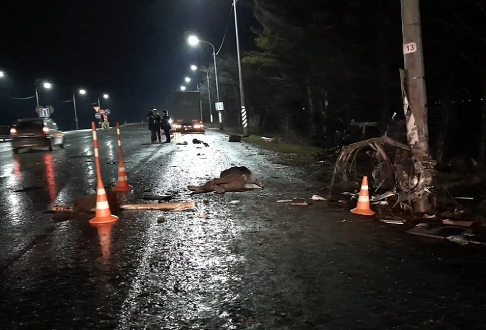 В ДТП погиб водитель и его собака