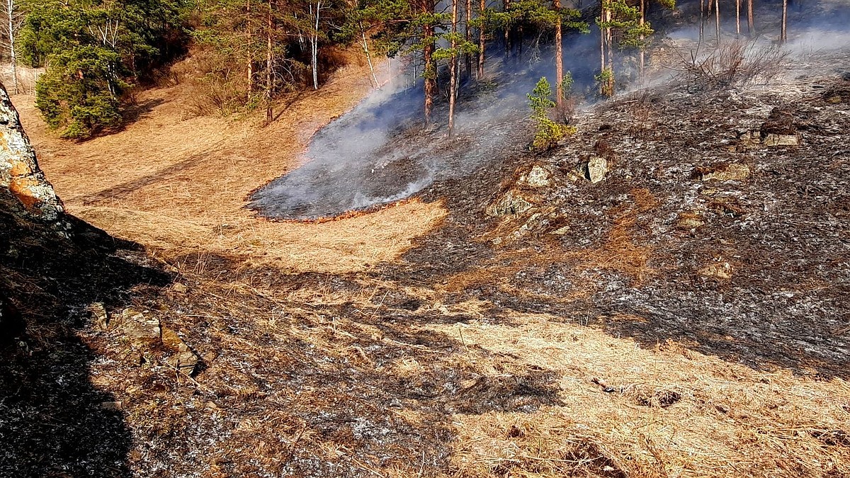 Почти 1 млн рублей заплатил житель Алтая за пожар в лесу - KP.RU