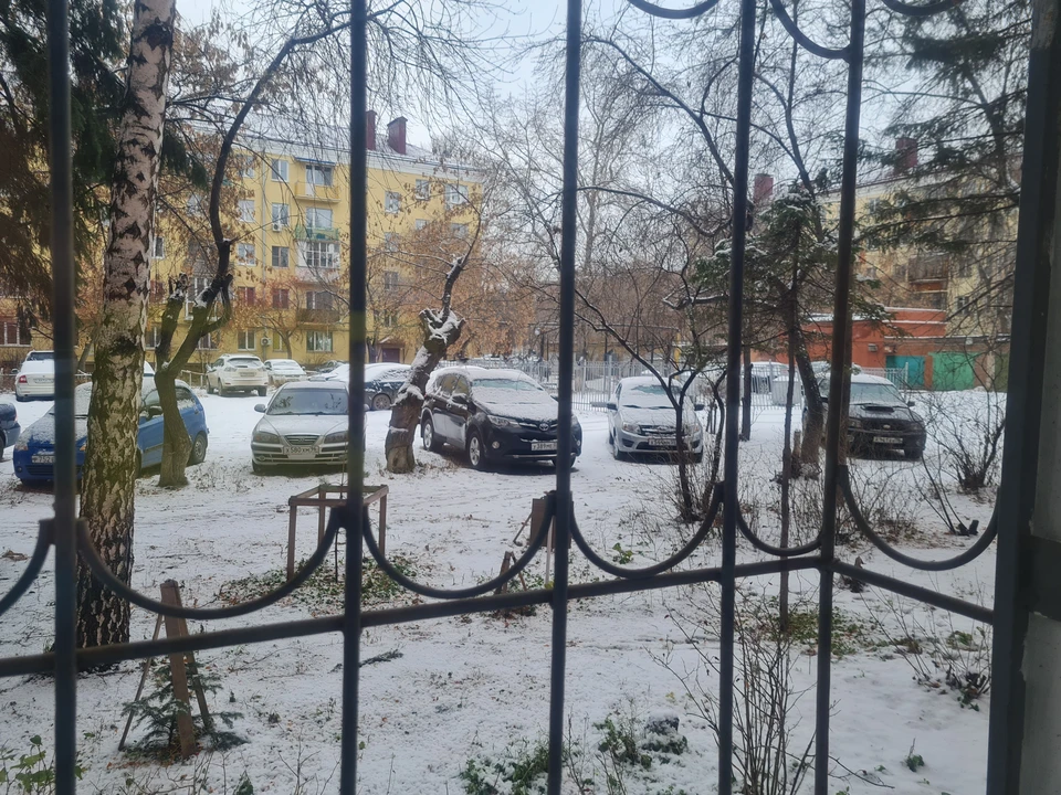 Омичам пообещали сильный снег в выходные, но из-за тёплой погоды он точно растает.