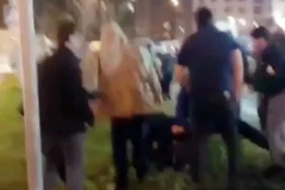 Полиция задержала двух участников нападения на отца с ребенком в Новой Москве Фото: кадр из видео