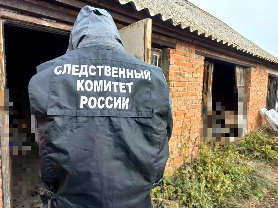 Фото: СУ СК по Саратовской области