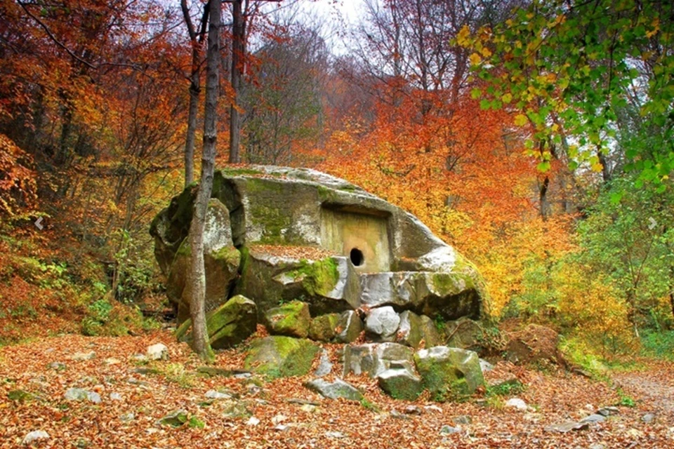 График работы нацпарка. Фото: npsochi.ru