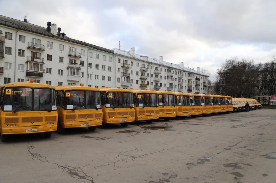 Школы Рязанской области получили 39 новых автобусов. Фото: ryazangov.ru
