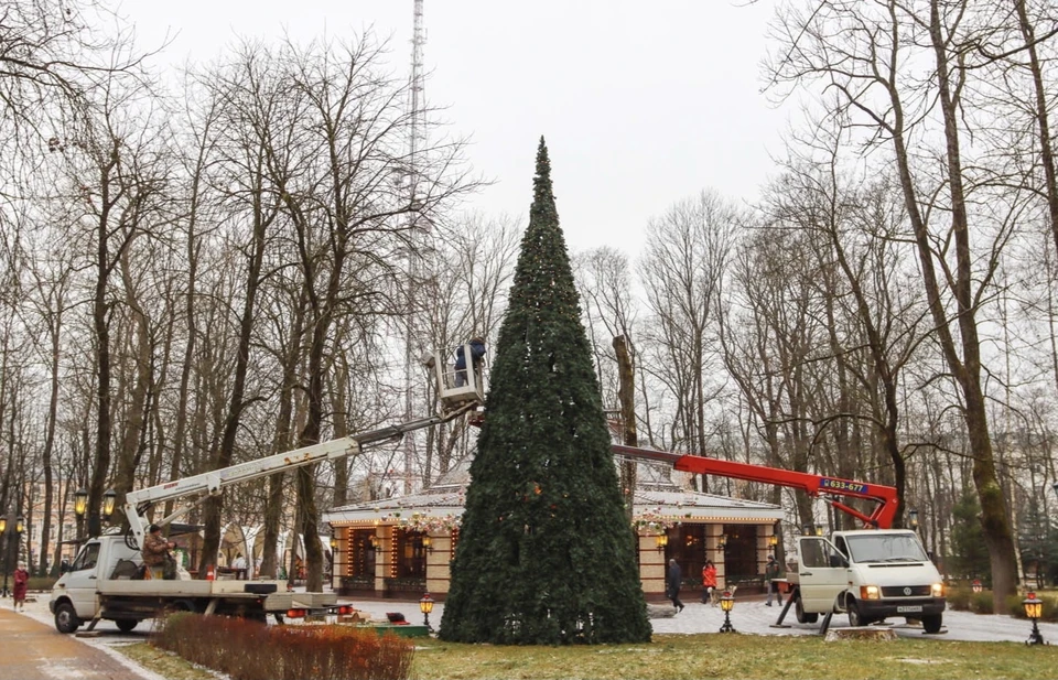 В центре Смоленска установили первую новогоднюю ёлку. Фото: пресс-служба администрации Смоленска.