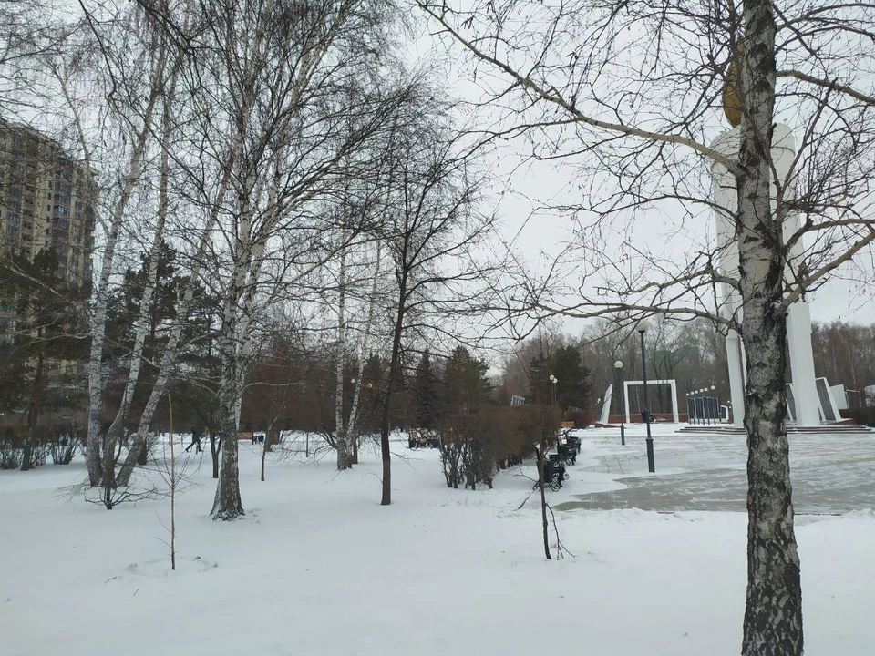 В Тюмени солнечно и без осадков.