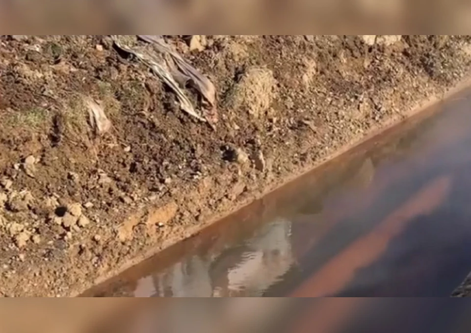 Фото: принтскрин видео, nakhodka_tv