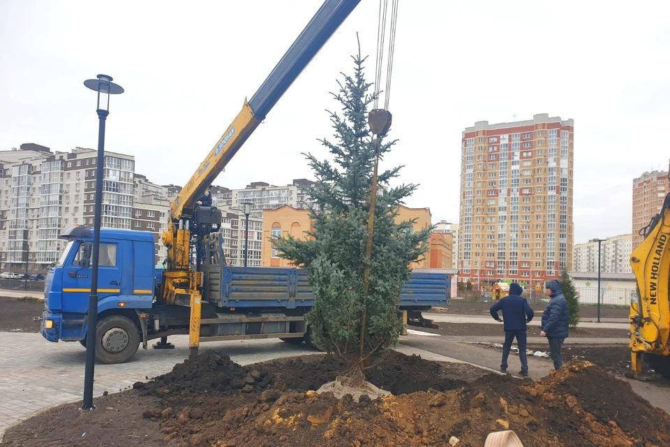 В Липецке продолжают благоустройство в парковой зоне в Европейском