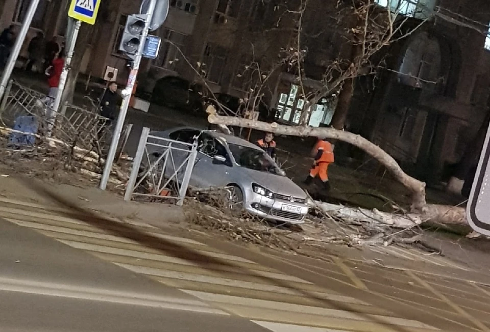 Это не первые случаи за последние дни, когда сильный ветер валит деревья. Фото: Плохие новости Крым|Симферополь|Севастополь ДТП/VK