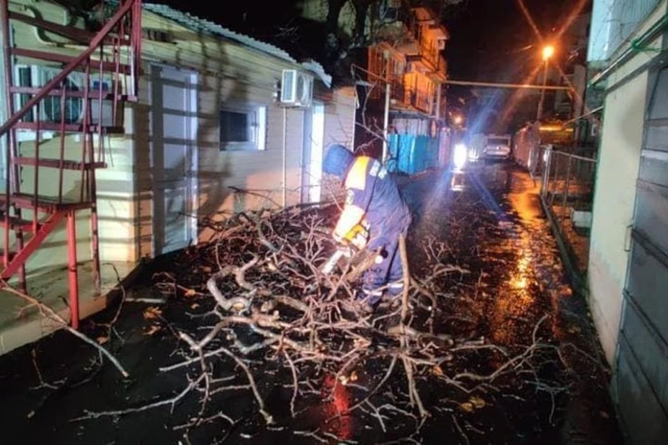 В Сочи ветром были сломаны более 20 деревьев. Фото: пресс-служба администрации Сочи