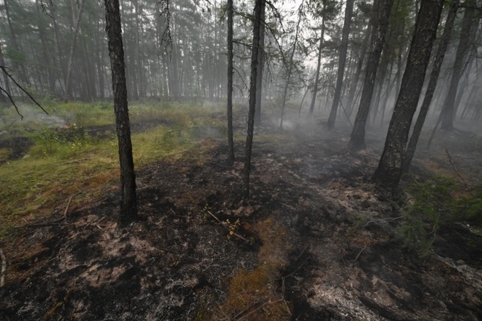 В сентябре 2021 года пожарные Приморья помогали в тушении возгораний Якутии