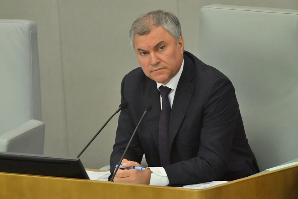 Председатель Госдумы Володин призвал доработать закон о добровольчестве