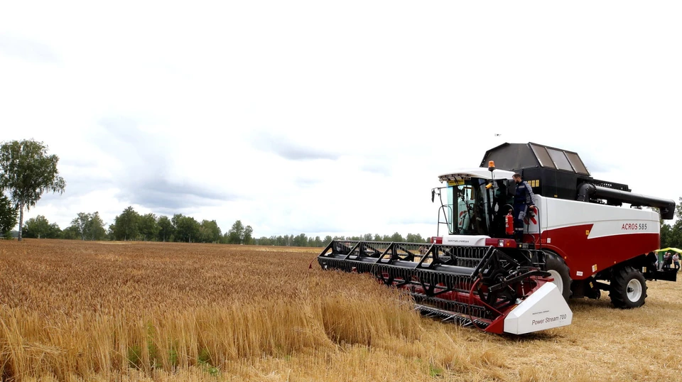 Аграрии Томской области в этом году собрали хороший урожай зерновых культур