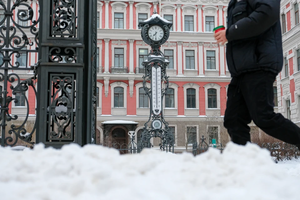 Петербург высший свет