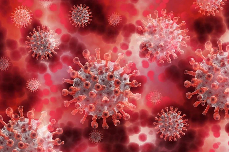 За последние сутки коронавирус подтвердился у 67 ижевчан. Фото: pixabay.com