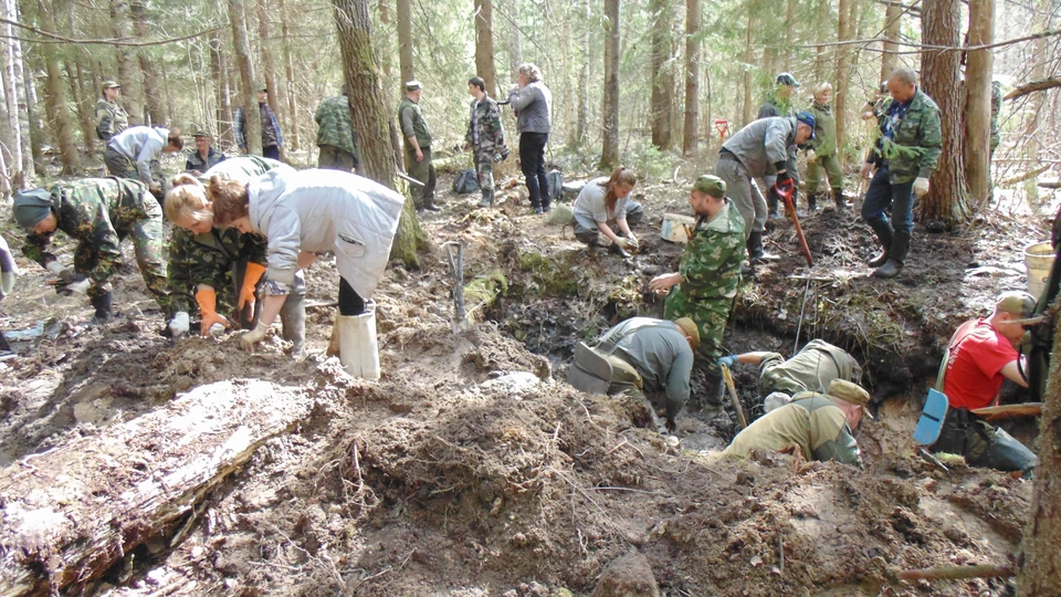 За 35 лет отряд «Поиск» поднял на Смоленской, Брянской и Псковской земле более 600 погибших бойцов.