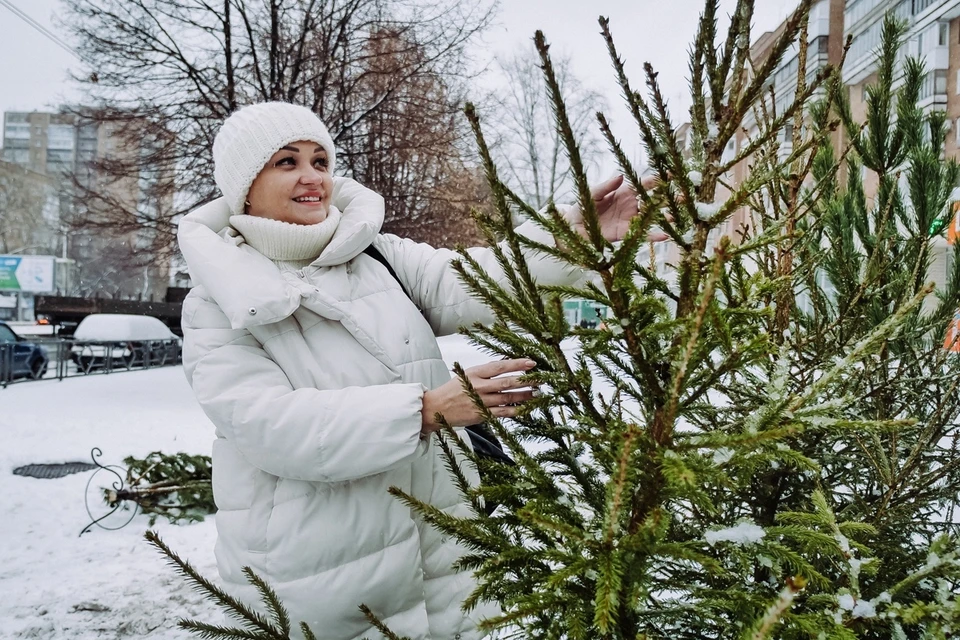 В Самаре начали работать елочные базары