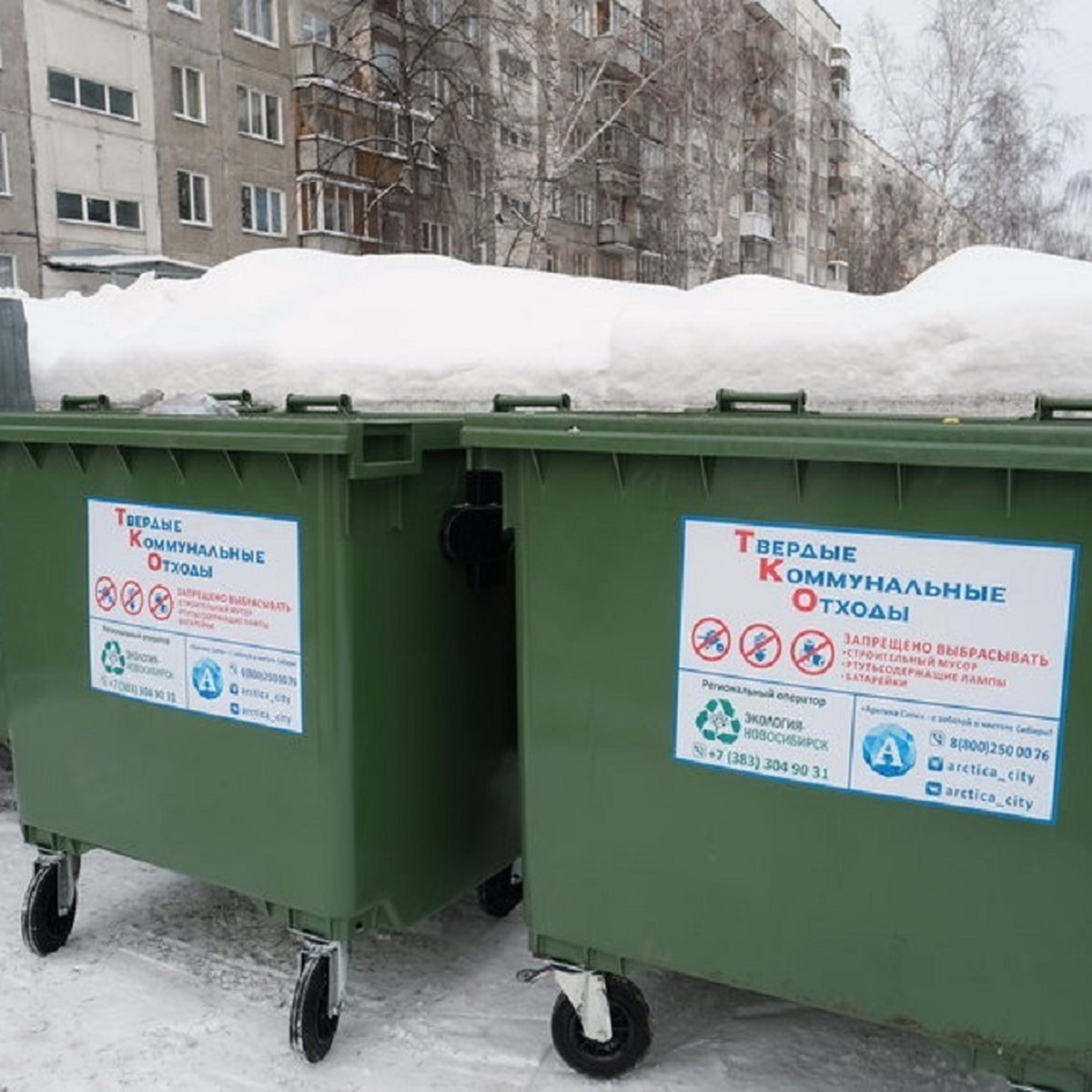 «Экология-Новосибирск» в новогодние праздники будет принимать заявки на  вывоз мусора через WhatsApp - KP.RU