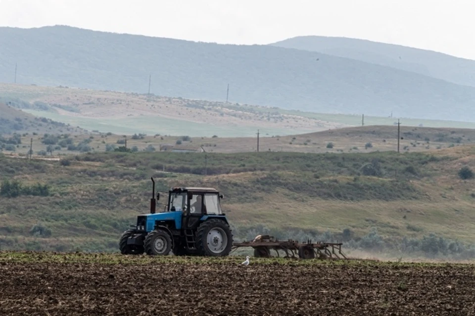 В Крыму назначили главного по сельскому хозяйству