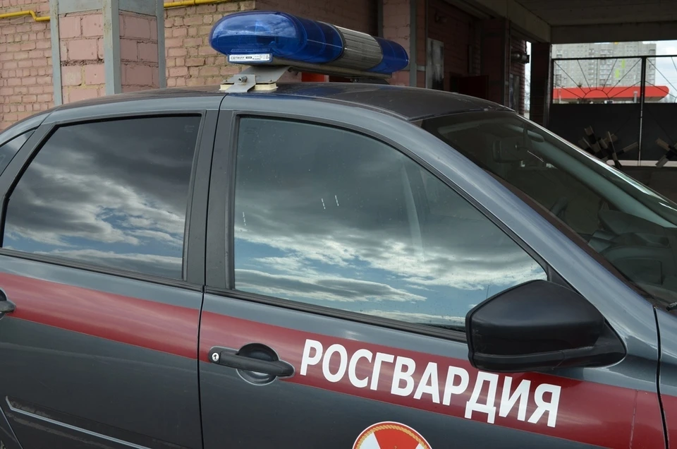 Фото: Ольга СУПОНЕВА (архив)