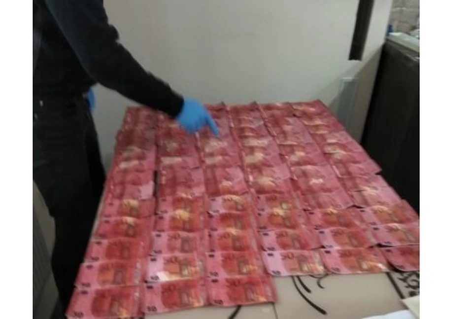 У фальшивомонетчика обнаружили 19050 поддельных евро (Фото: полиция).