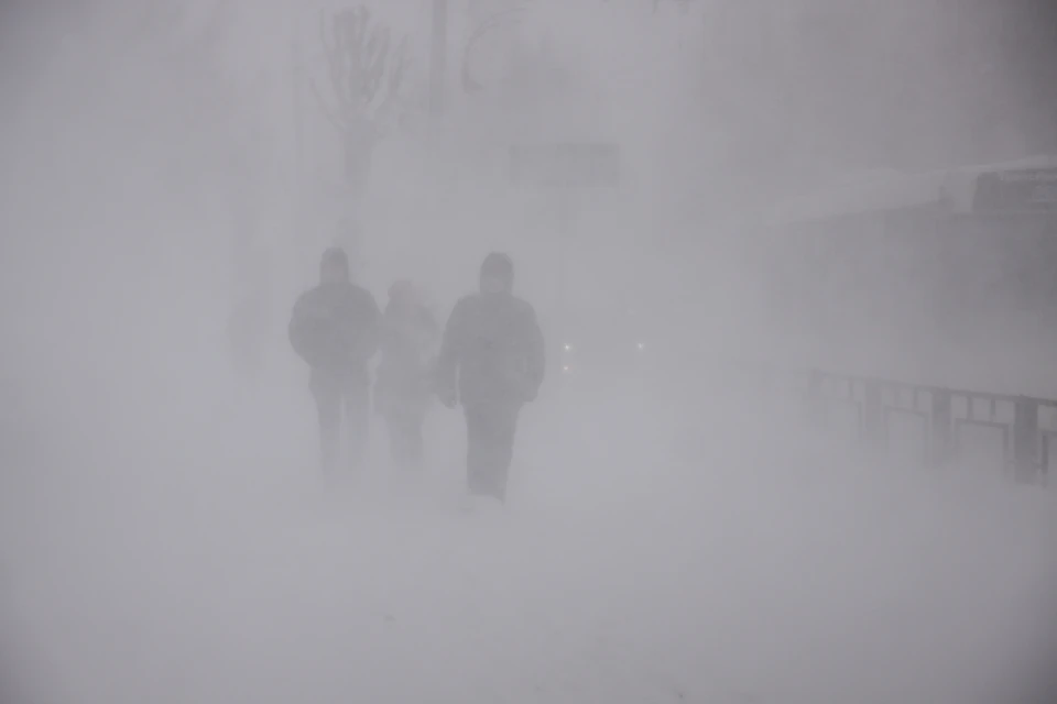 Рязанцев просят быть внимательными.
