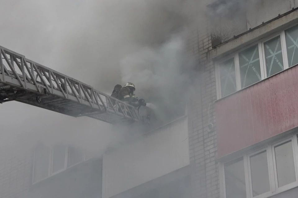 За сутки пожарные ДНР ликвидировали четыре пожара. Фото: МЧС ЛНР