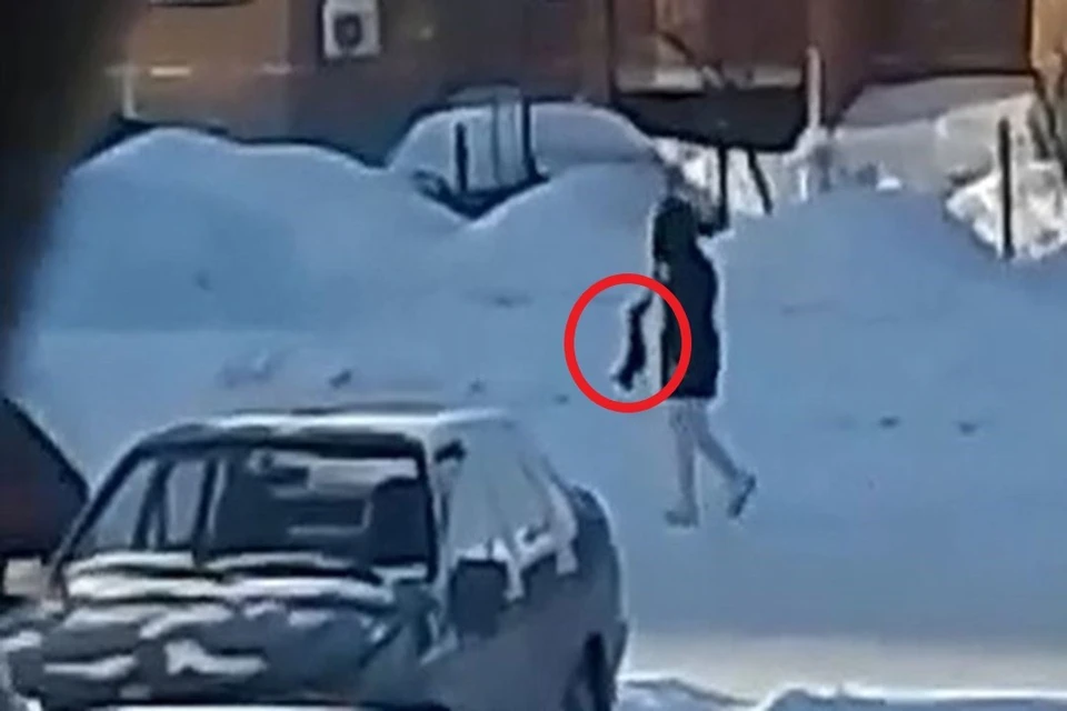 От ударов собачка начала хромать. Фото: кадр из видео