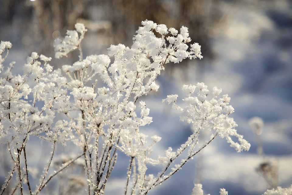 Небольшой снег выпадет в Иркутске 13 января