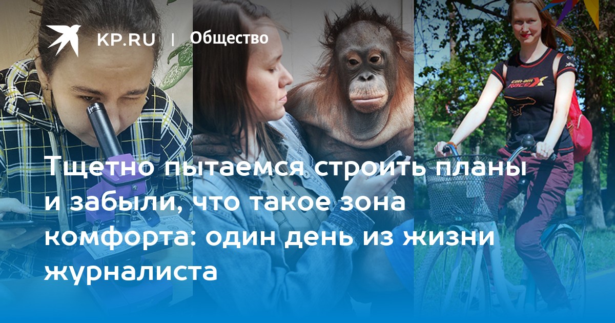 Тщетно пытаемся строить планы и забыли, что такое зона