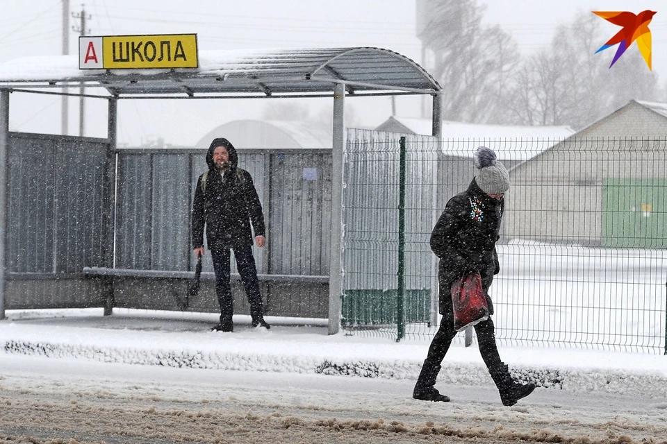 В Беларуси до конца недели - сильный штормовой ветер.