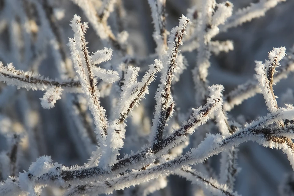 Жителей Новосибирска ожидает перепад температур свыше 30 градусов.