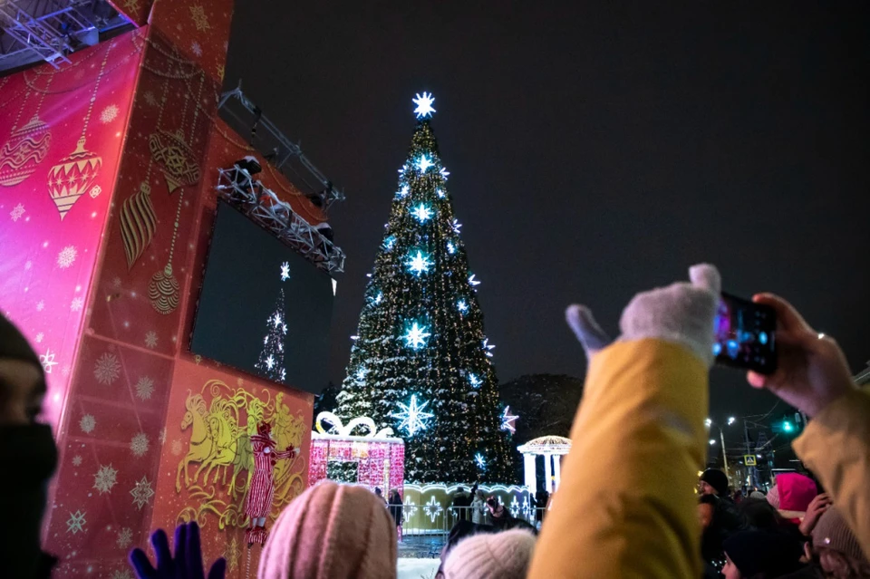 В Ростове ветер повалил главную городскую елку. Фото: администрация Ростова