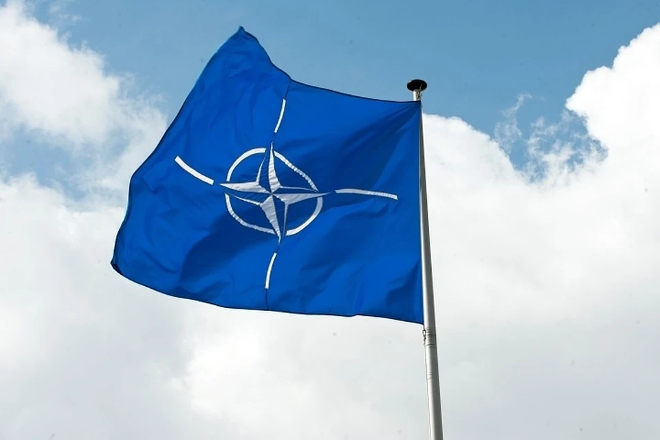 Экс-генсек НАТО заявил, что Финляндия и Швеция могут "мгновенно" стать членами альянса