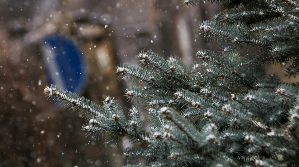 Днем 18 января и в течение 19 января синоптики прогнозируют умеренный снег. Фото: Сергей Грачев