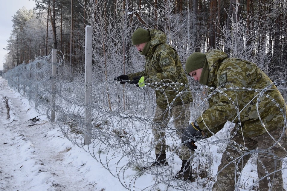 Украинские пограничники растягивают колючую проволоку на границе с Беларусью. Фото: Госпогранслужба Украины