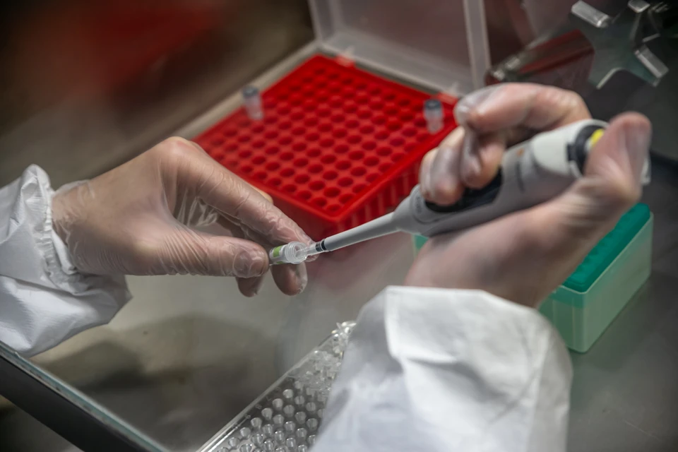 В лабораториях за прошедшие 24 часа провели 12842 теста на коронавирус