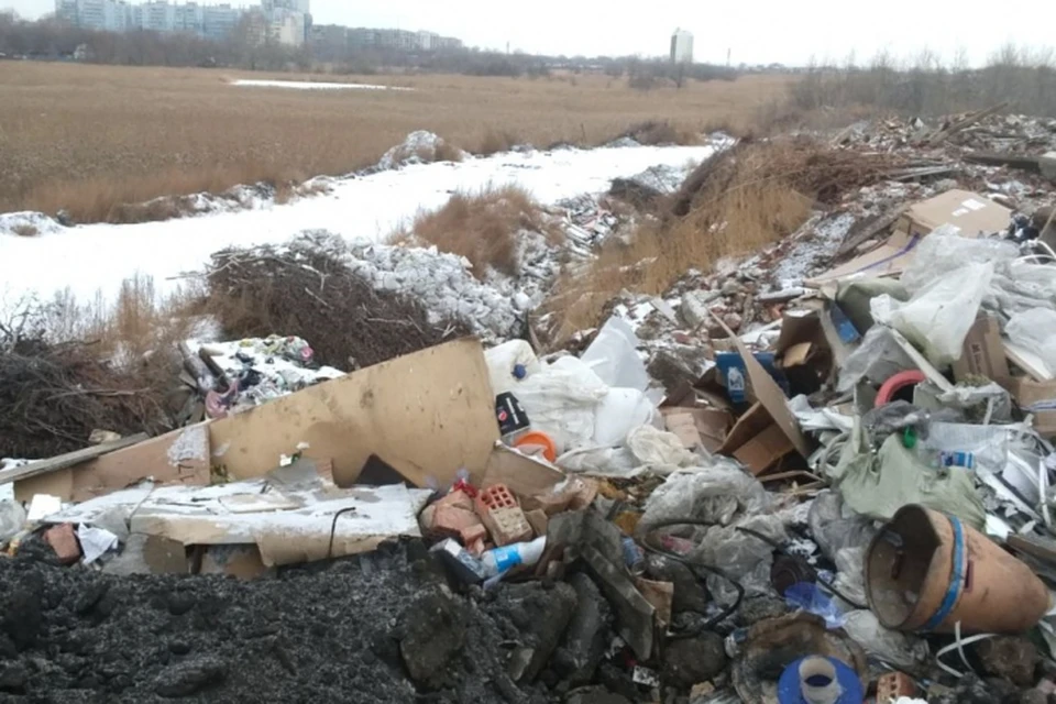 За 10 лет образовалась гора мусора. Фото: ОНФ.