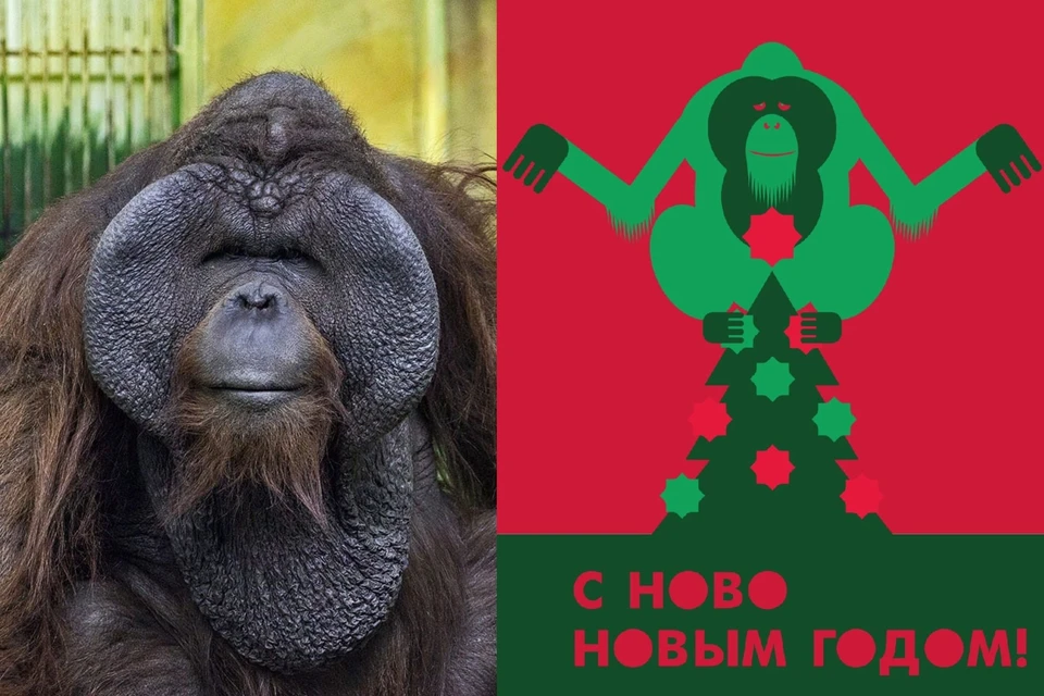 Как вам такой новогодний символ? Дизайн: рекламное агентство Мелехов и Филюрин/ Евгений ПРОКИНОВ.