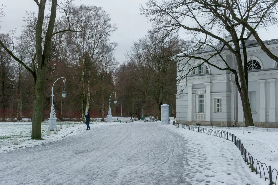 В ЦПКиО Петербурга закрыли вход в музеи и на мастер классы для детей и подростков