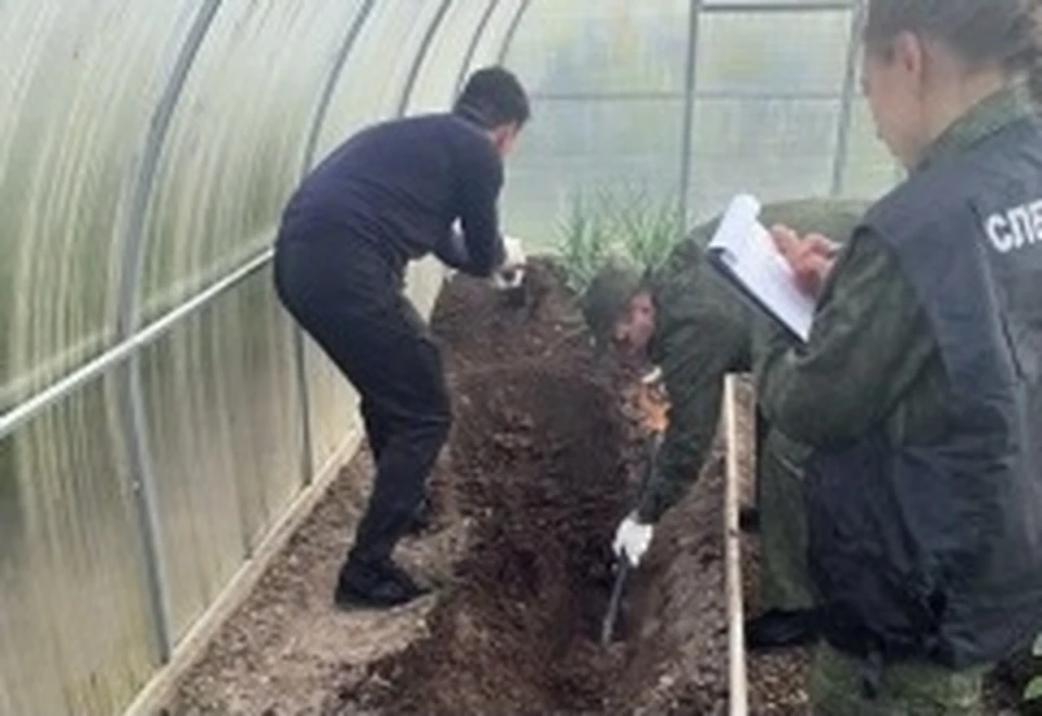 В Смоленской области пенсионерка предстанет перед судом за убийство бывшего зятя. Фото: пресс-служба СУ СКР по Смоленской области.