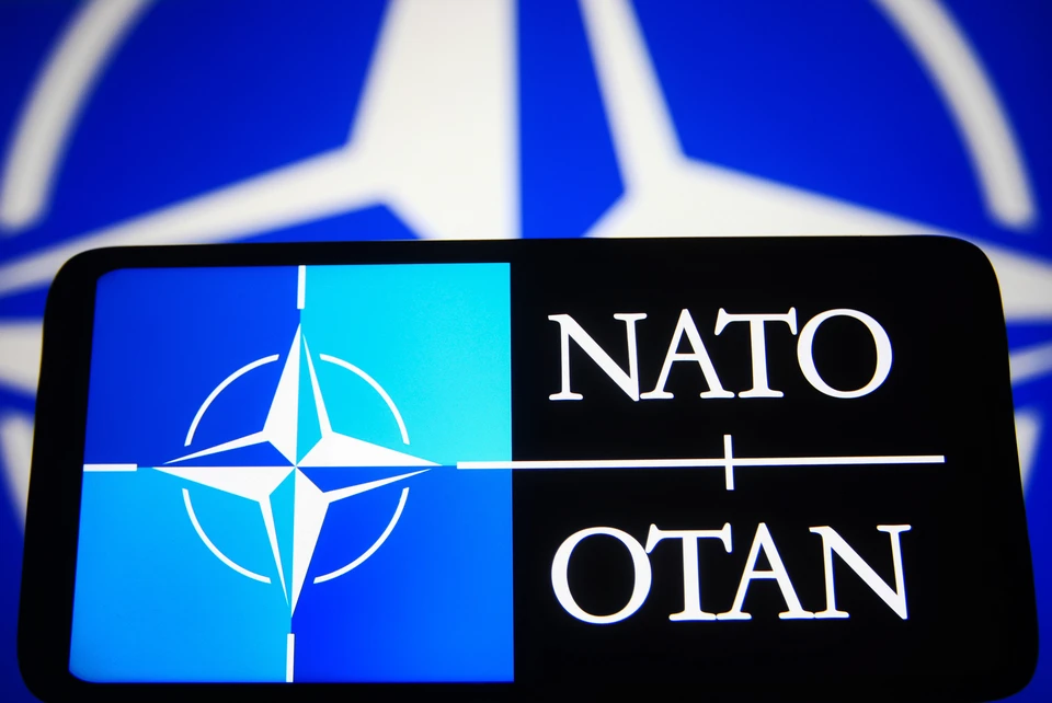Представитель НАТО предложил «оттаскать Украину за уши» за ненужные провокации