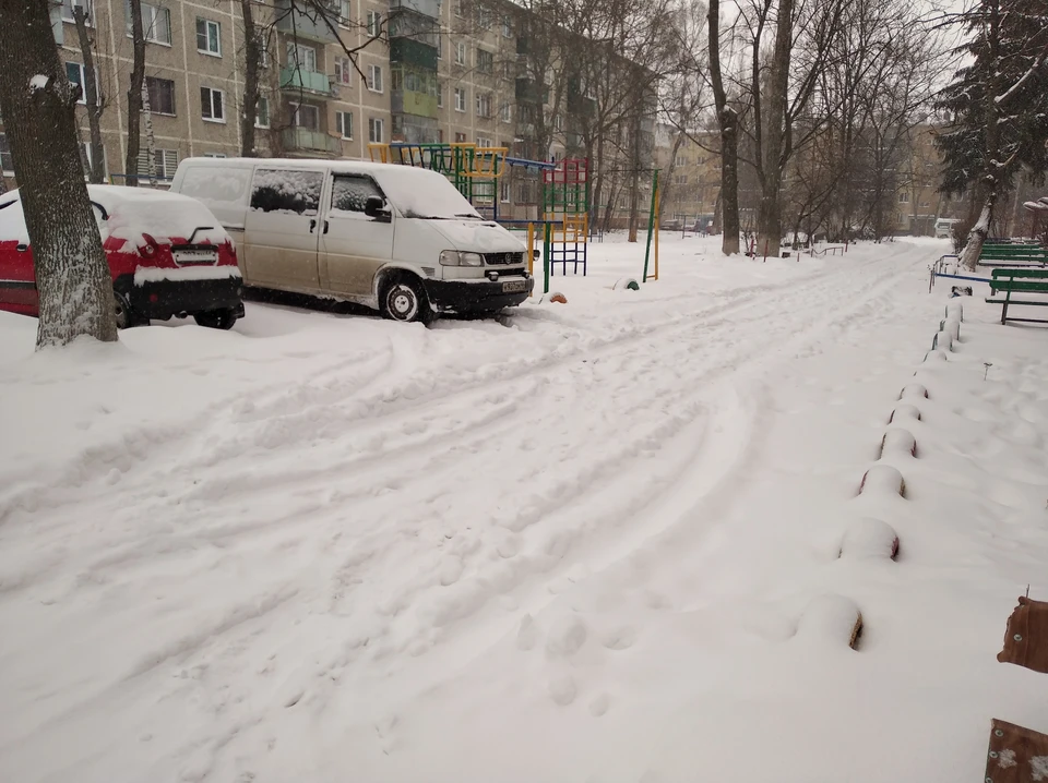 За пять дней выпадет половина месячной нормы осадков