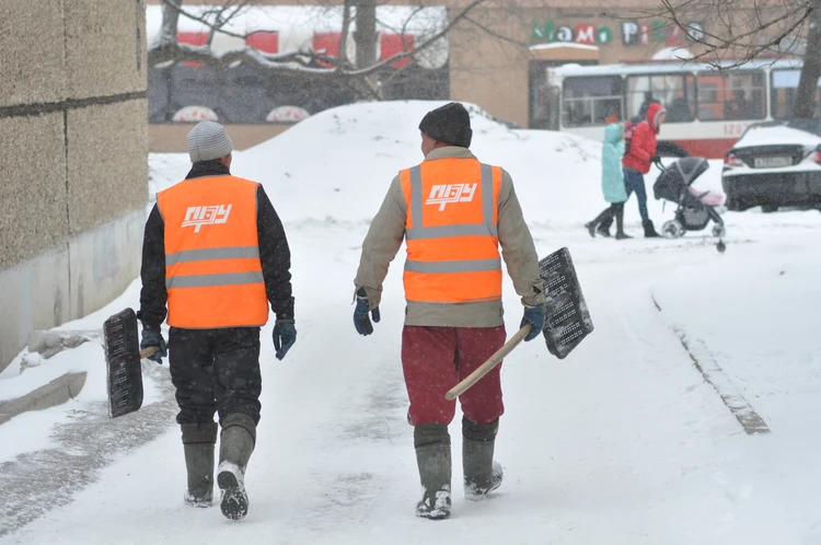 Погода в Ижевске на неделю с 31 января по 6 февраля: станет теплее и пройдет снег с дождем