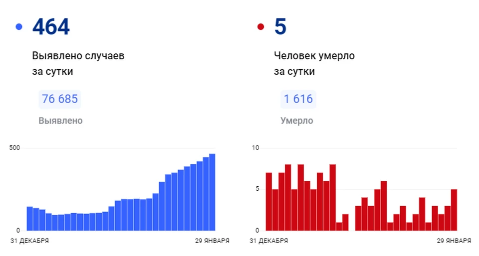 Фото: сайт "стопкоронавирус.рф"