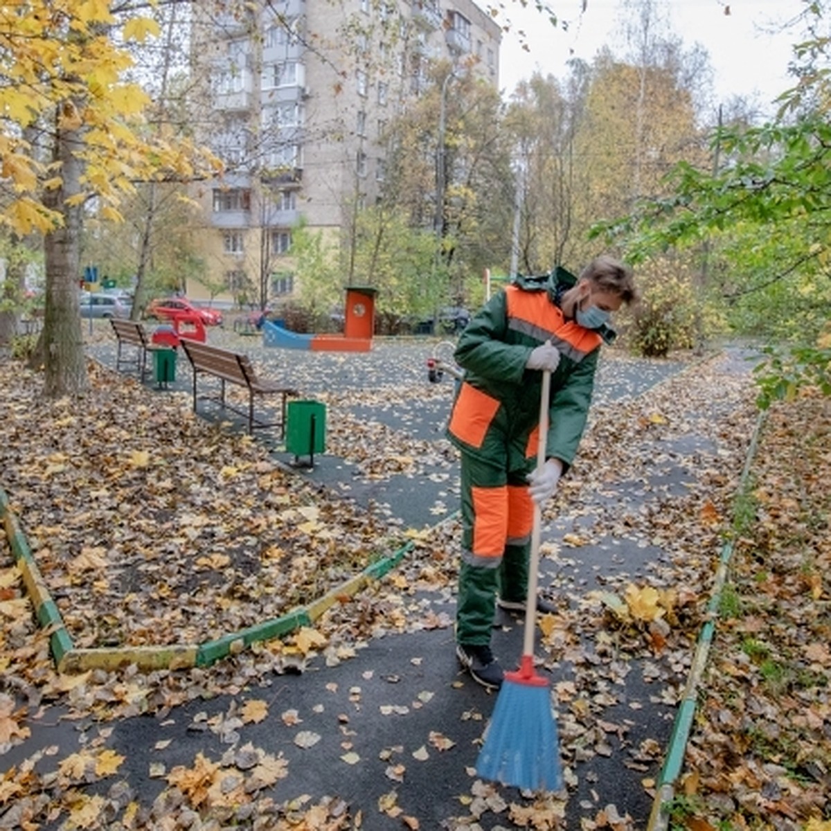 Передовые управляющие компании: мусор убирают, в Телеграме отвечают - KP.RU