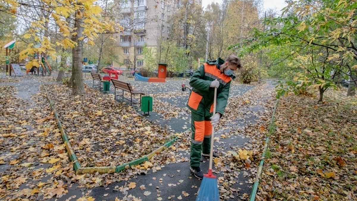 Передовые управляющие компании: мусор убирают, в Телеграме отвечают - KP.RU