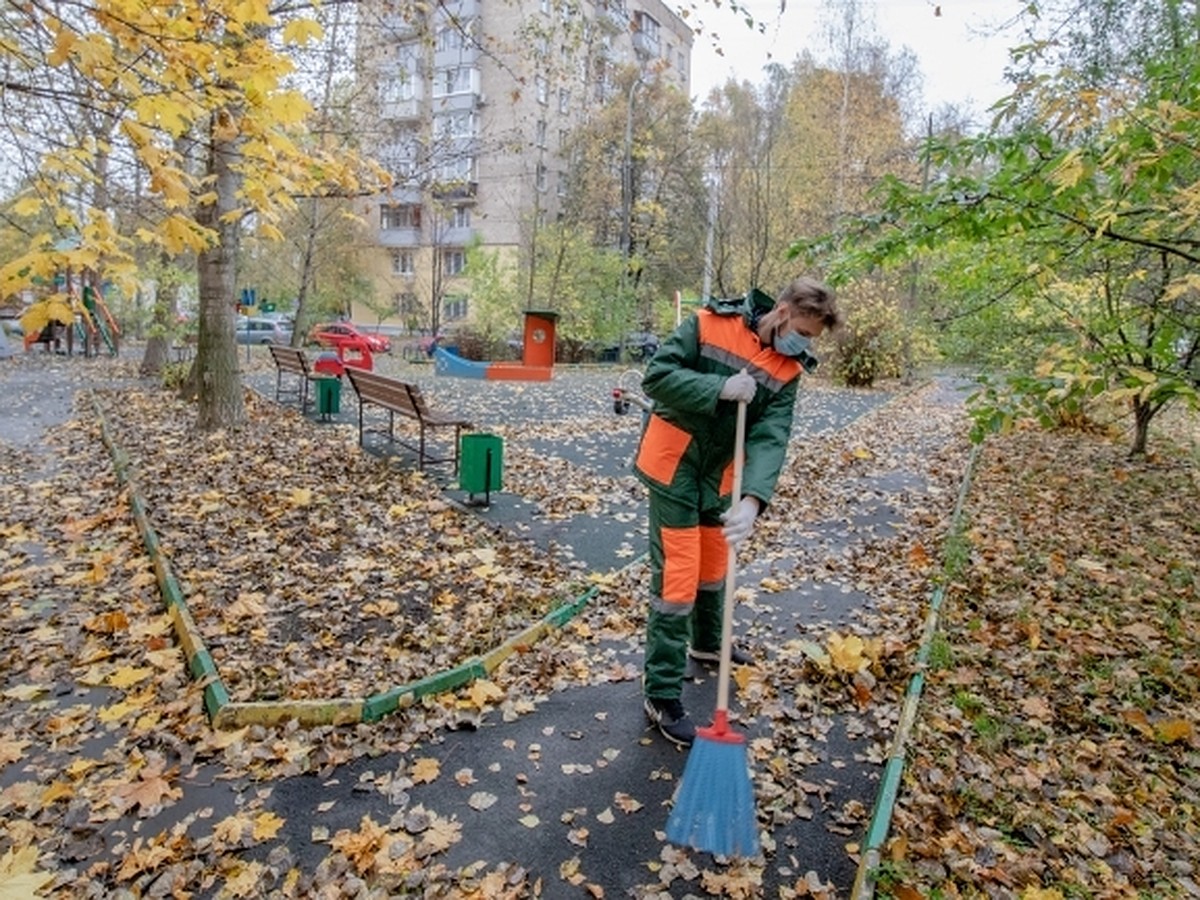 Передовые управляющие компании: мусор убирают, в Телеграме отвечают - KP.RU